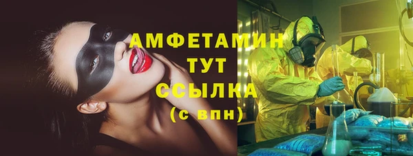 гидра Зеленодольск