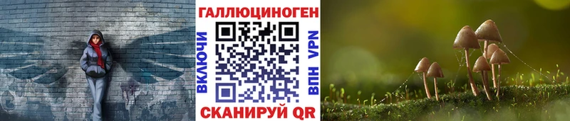 Купить закладки  Богучар  Псилоцибиновые грибы Cubensis 