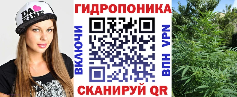 Бошки марихуана OG Kush  Купить закладки  Богучар 